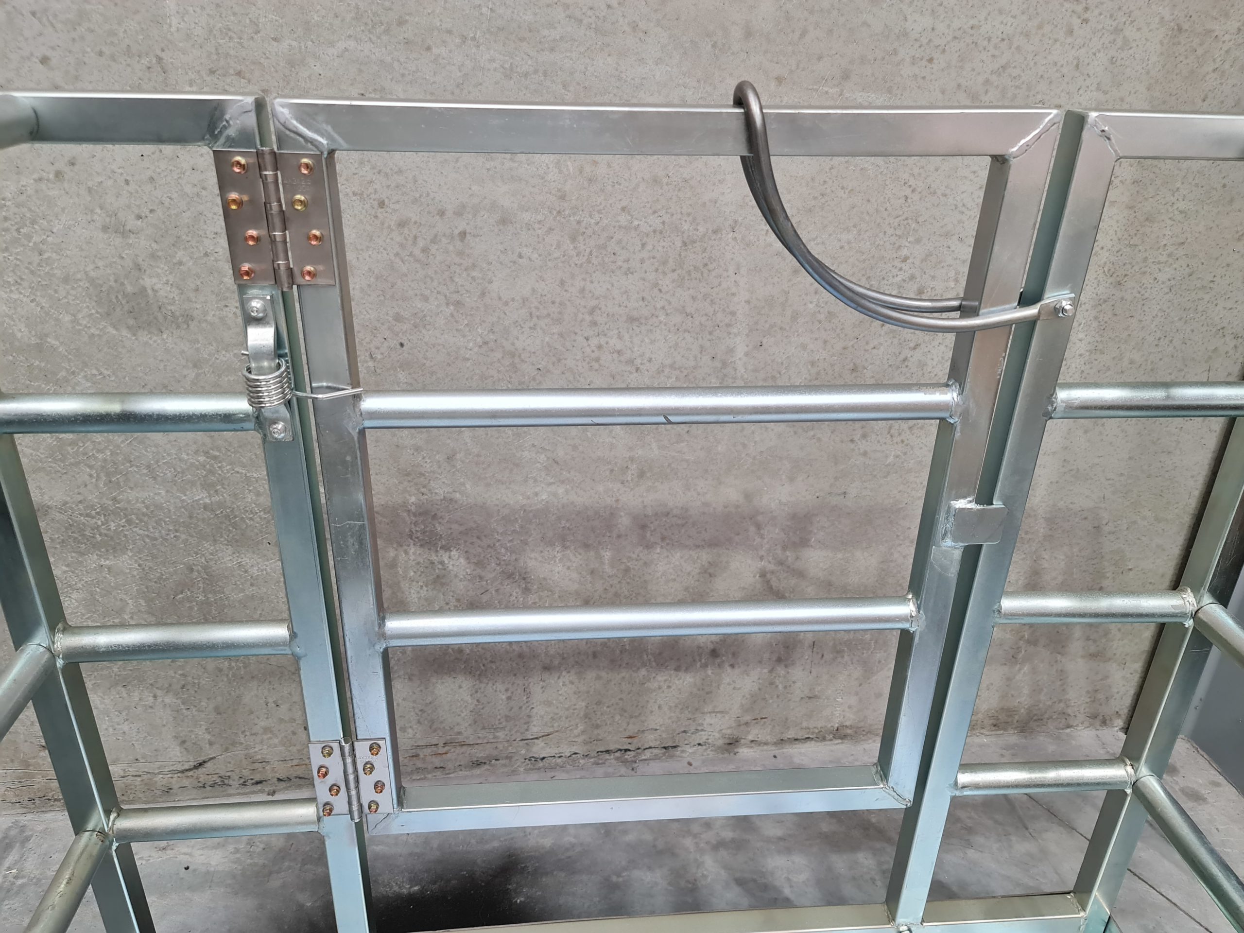 Man Cage gate spring and latch